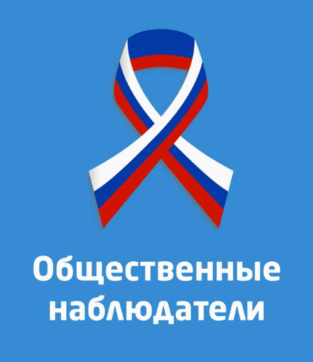 Общественные наблюдатели
